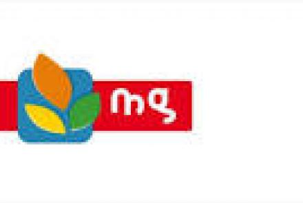 Etats financiers annuels au 31/12/2024
