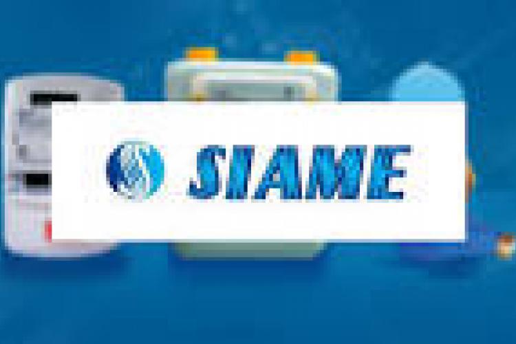 Etats financiers annuels consolidés au 31/12/2024