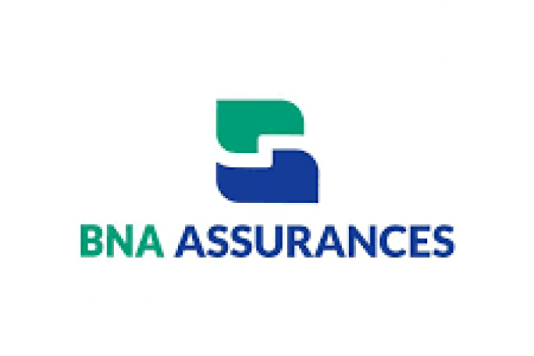 Etats financiers semestriels individuels au 30/06/2025