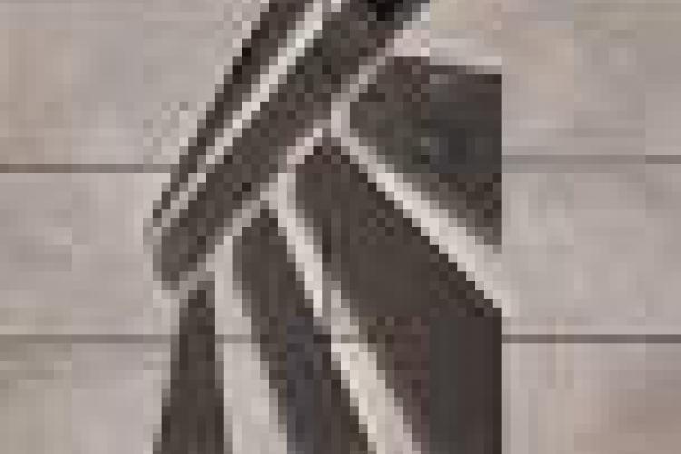 Daily report du 26 septembre 2025