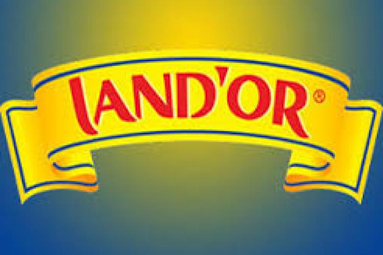 Etats financiers semestriels au 30/06/2024