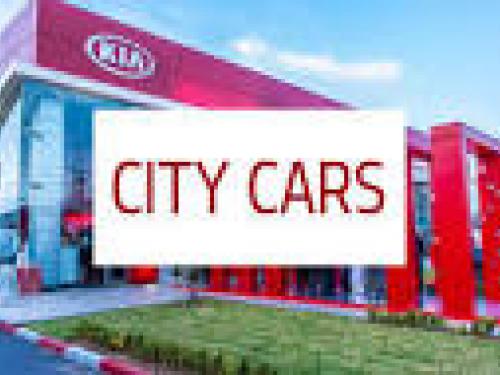 Résolutions adoptées par l’AGO de la société CITY CARS du 22/06/2023