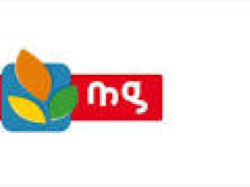 Etats financiers semestriels au 30/06/2025